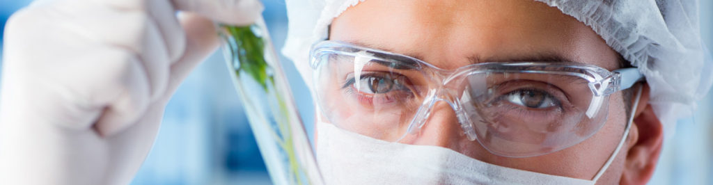 ingredient R&D